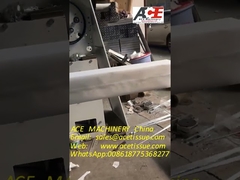 Machine à emballer automatique de paquet de serviette en papier pour la serviette de main de pli de Z